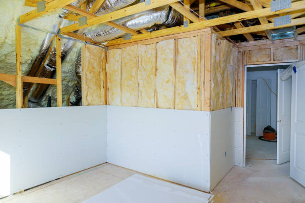 Best Insulation Removal Services  in Red Lion, PA